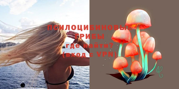 бутират Горняк