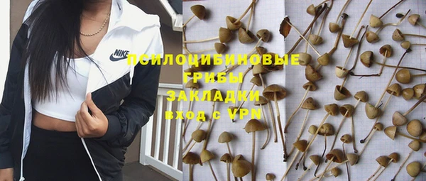 бутират Горняк