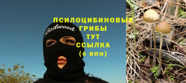 ALPHA PVP Нефтегорск