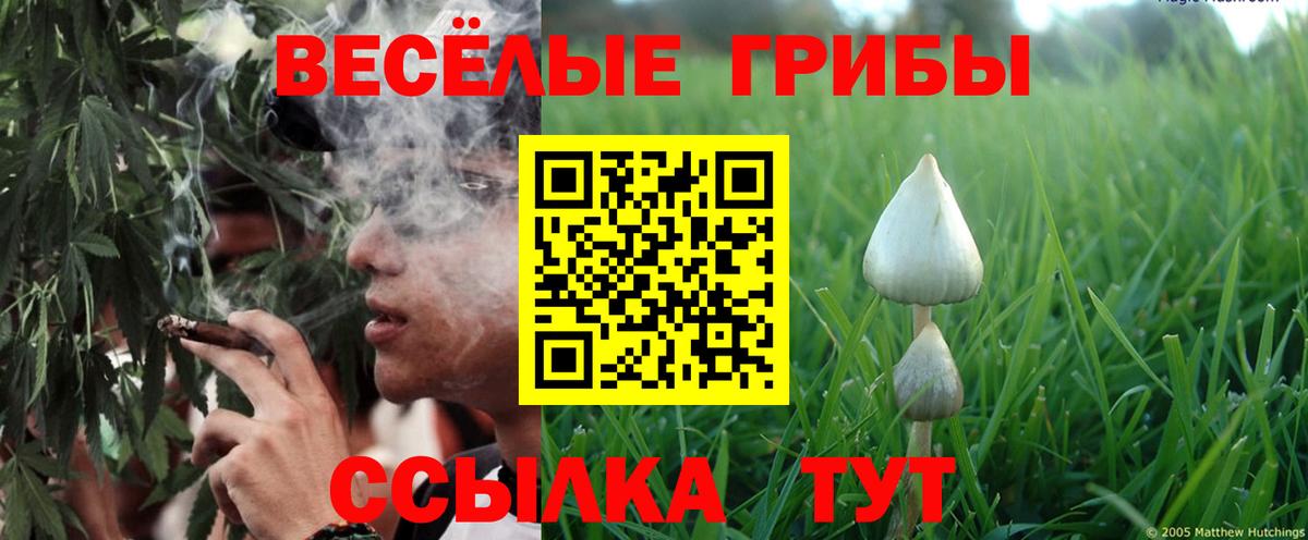 Галлюциногенные грибы Psilocybine cubensis  Псилоцибиновые грибы ЛСД  Вход с VPN  Обь 